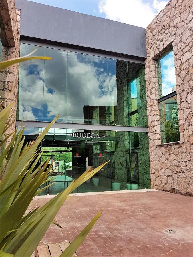Hotel Camino De Piedra Guanajuato Eksteriør billede